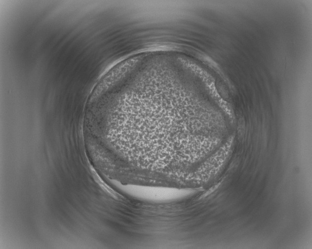 X0000063441417200602171818