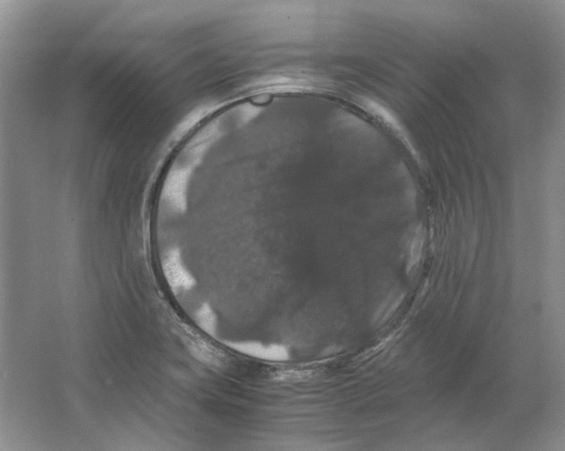 X0000063441419200602171818