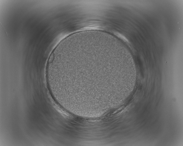 X0000063441423200602171818