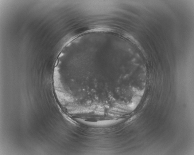 X0000063441425200602171818