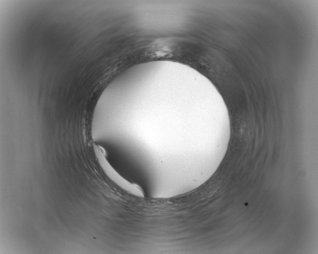 X0000063441442200602171817