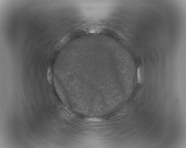 X0000063441443200602171817