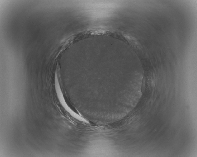 X0000063441445200602171817