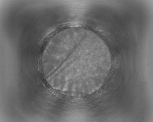 X0000063441446200602171817