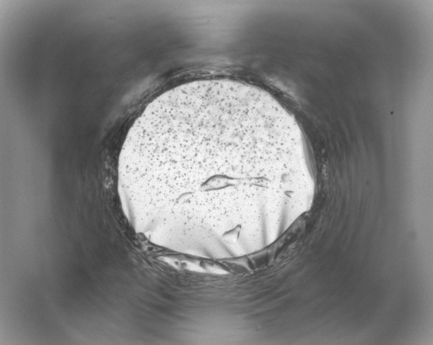 X0000063441447200602171817