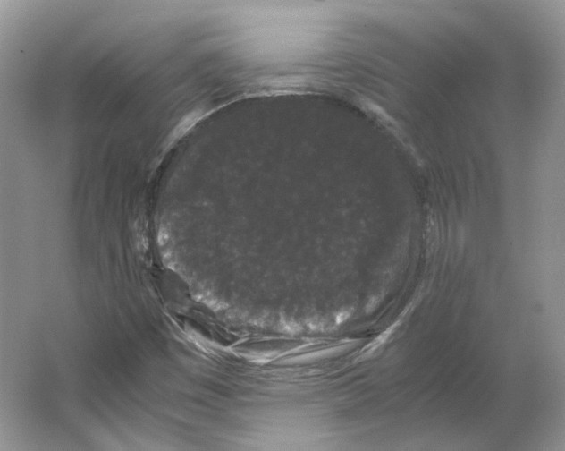 X0000063441449200602171817
