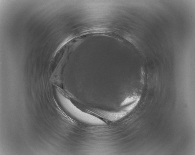 X0000063441450200602171817