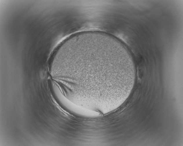 X0000063441452200602171817