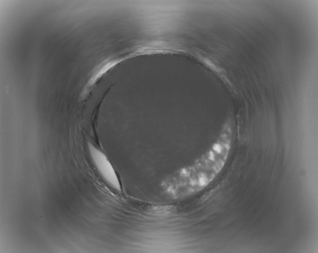 X0000063441453200602171817
