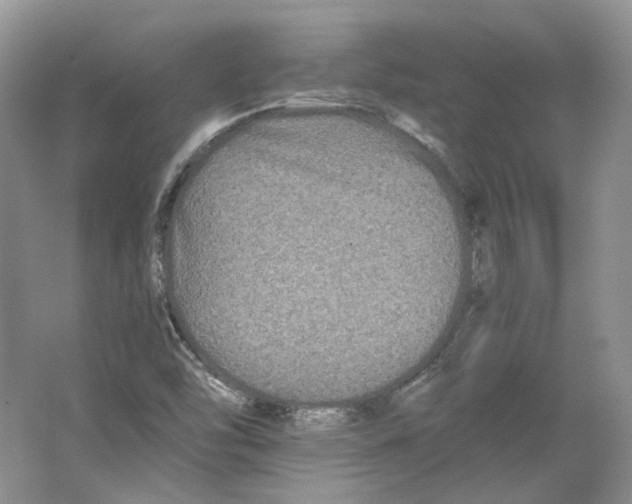 X0000063441454200602171817