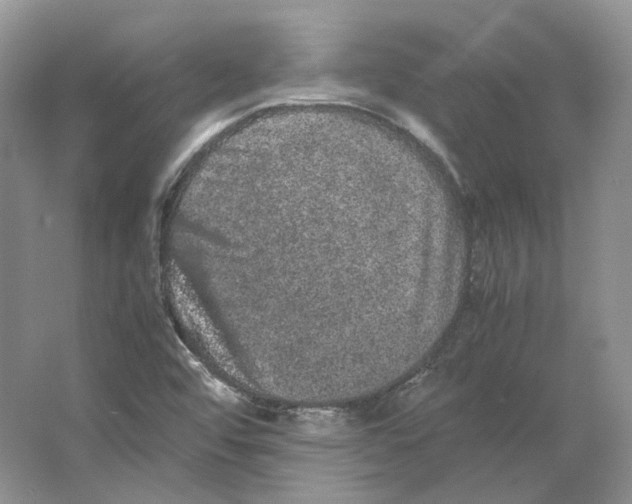 X0000063441456200602171817