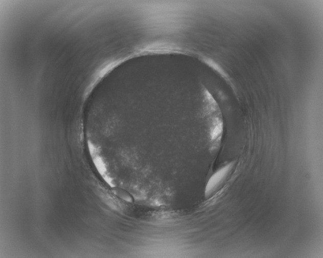 X0000063441461200602171817