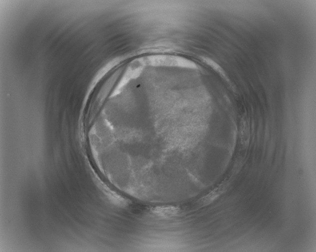 X0000063441466200602171817