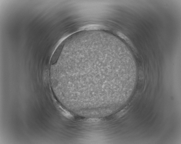 X0000063441473200602171816