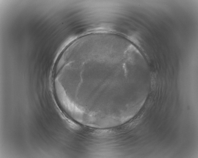 X0000063441474200602171816