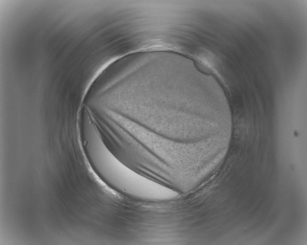 X0000063441476200602171816