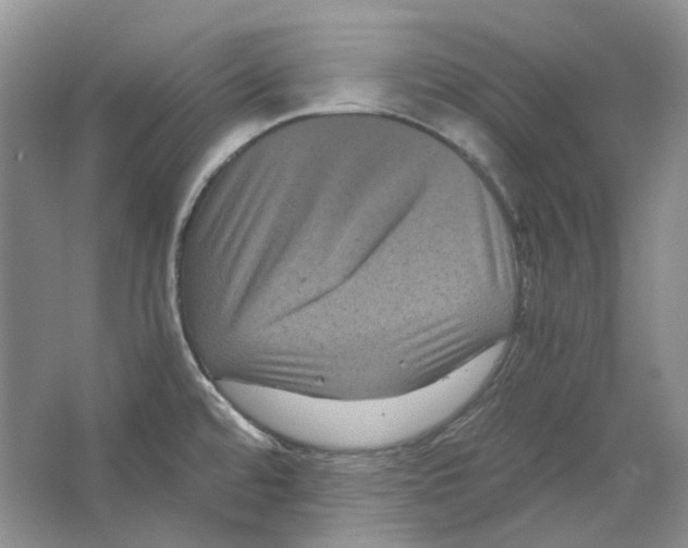 X0000063441480200602171816