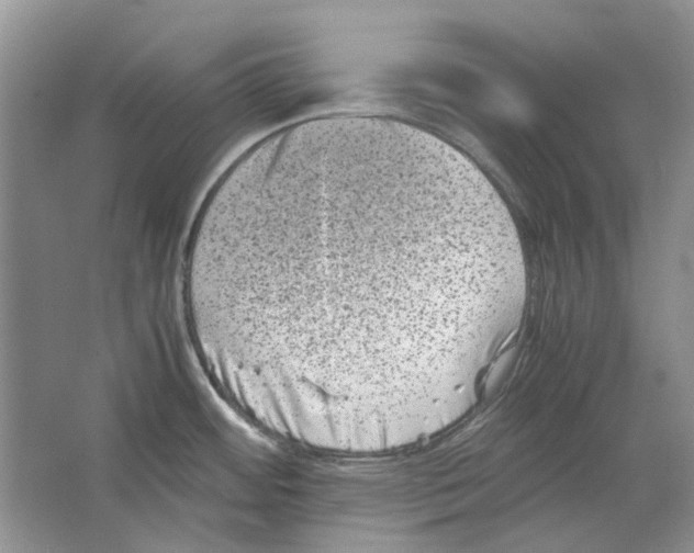 X0000063441484200602171816
