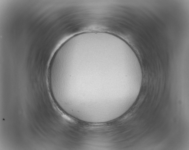 X0000063441486200602171816