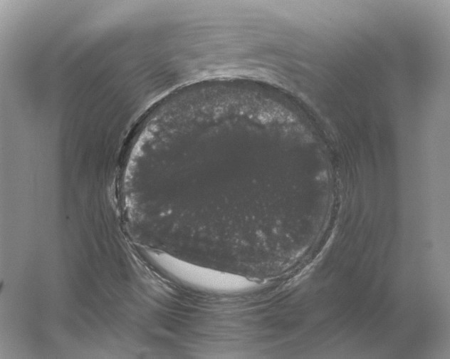 X0000063441497200602171815