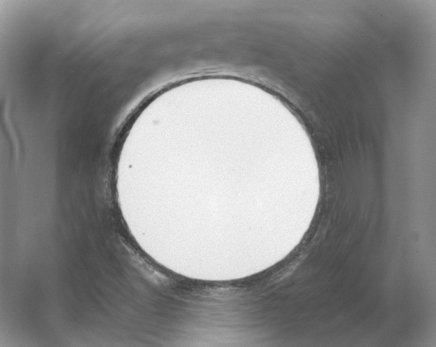 X0000063441502200602171816