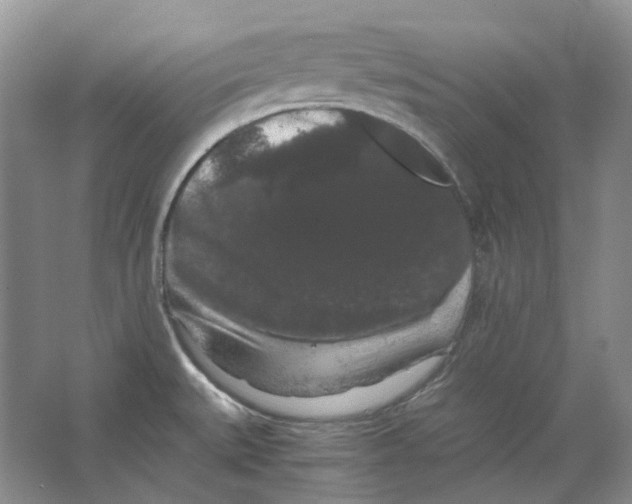X0000063441527200602171816