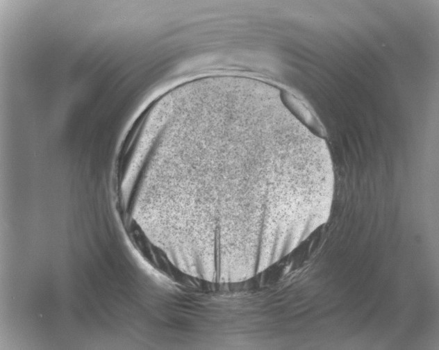 X0000063441531200602171816