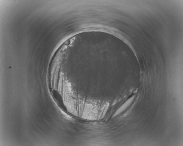 X0000063441533200602171816