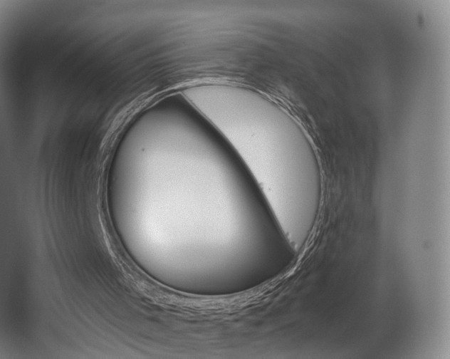 X0000063450001200601201007