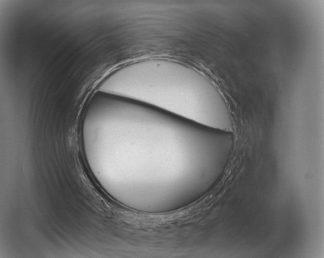 X0000063450002200601201007