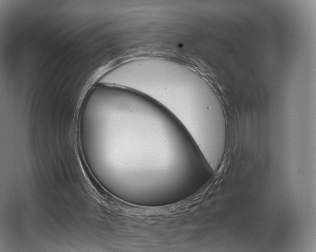 X0000063450003200601201007