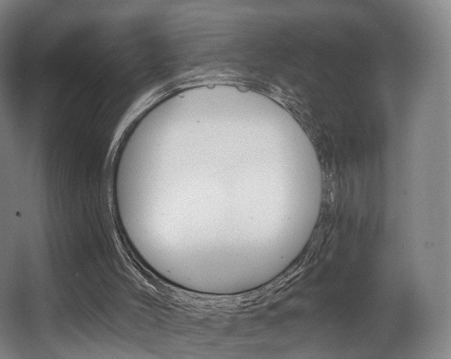 X0000063450004200601201007