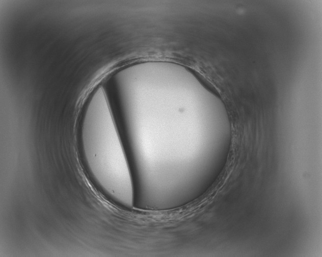 X0000063450005200601201007