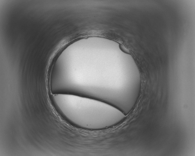 X0000063450006200601201007