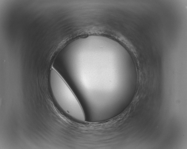 X0000063450009200601201007