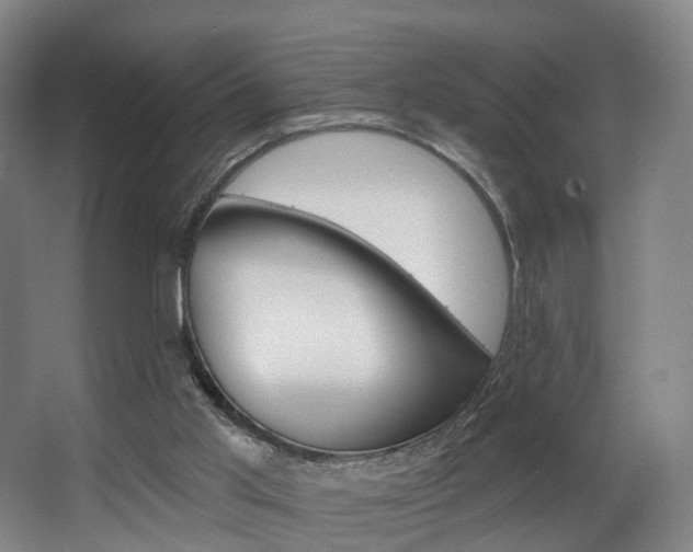 X0000063450013200601201007