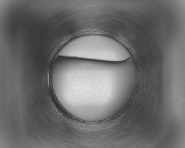 X0000063450014200601201007