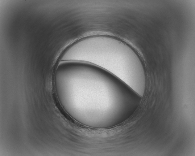 X0000063450015200601201007