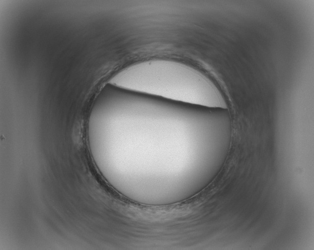 X0000063450018200601201007