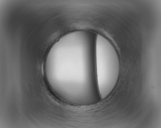 X0000063450019200601201007