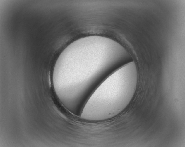 X0000063450020200601201007
