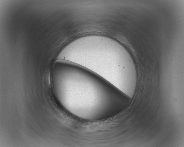 X0000063450021200601201007