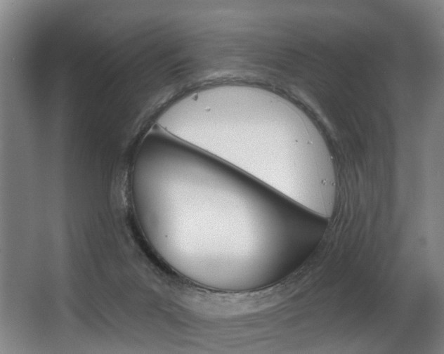 X0000063450023200601201007