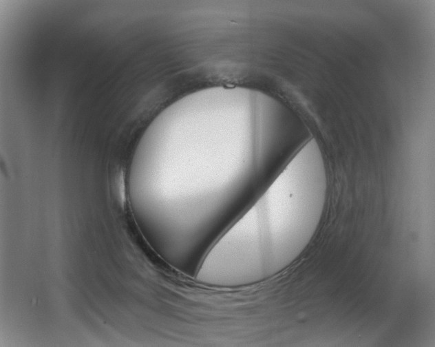 X0000063450027200601201006