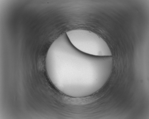X0000063450030200601201006