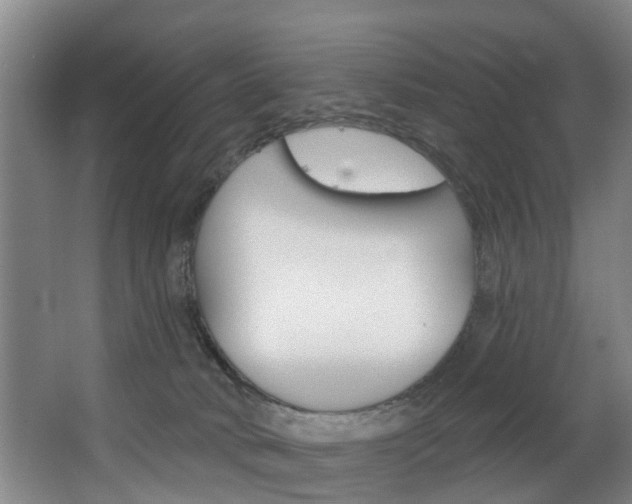 X0000063450034200601201006