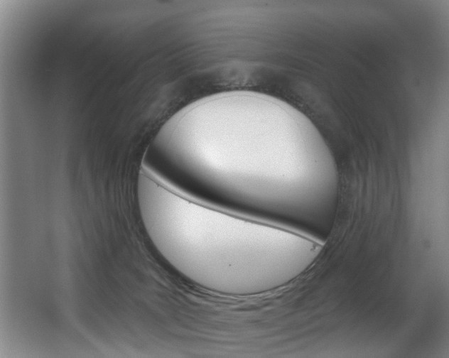 X0000063450035200601201006