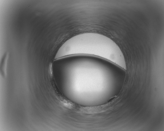 X0000063450041200601201006