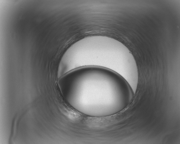 X0000063450045200601201006
