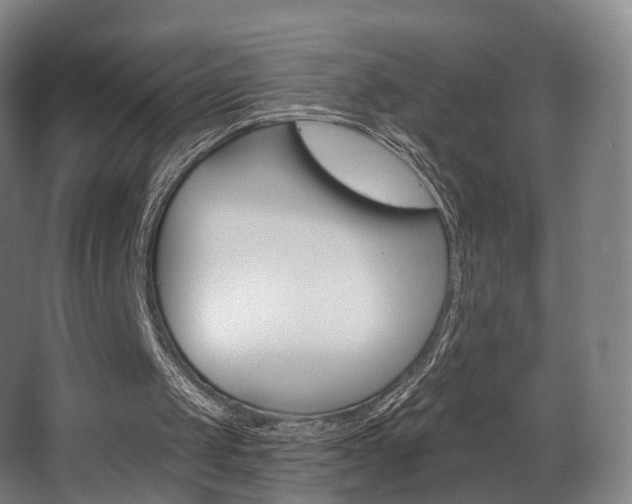X0000063450049200601201005